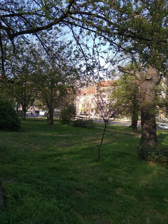 Hostel Ginger House Plovdiv Bagian luar foto